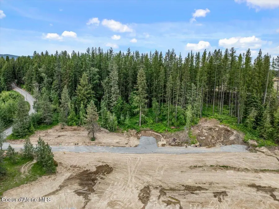 NKA Baja Lot 2 Ln, Oldtown, ID 83822 - #2