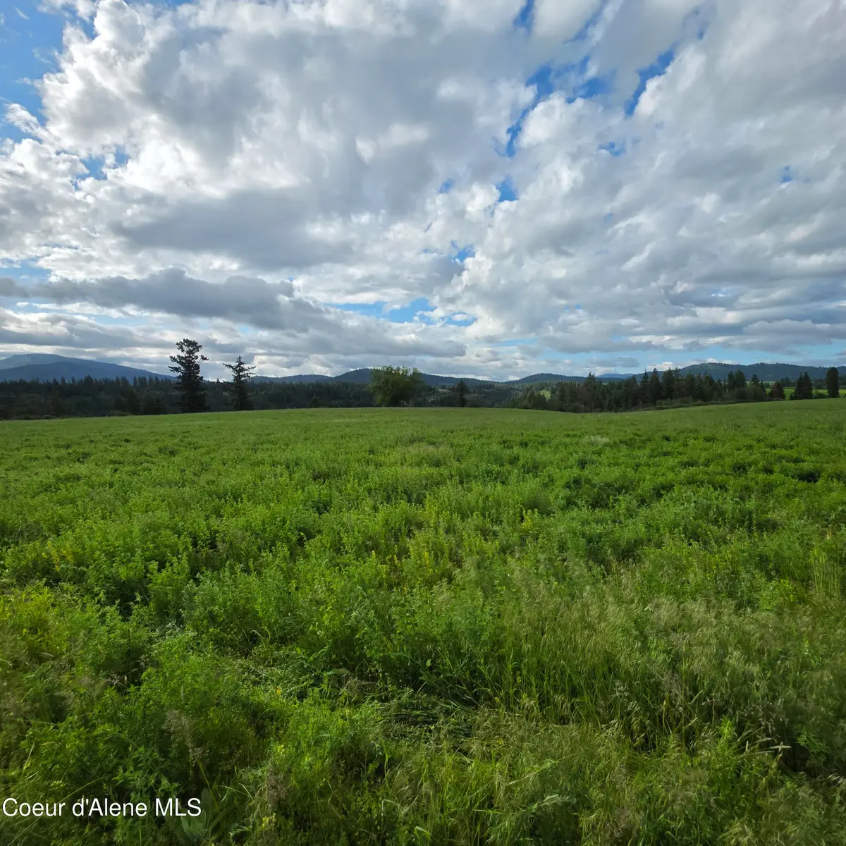 NKA 4 Sunrise Dr, Harrison, ID 83833 - #1