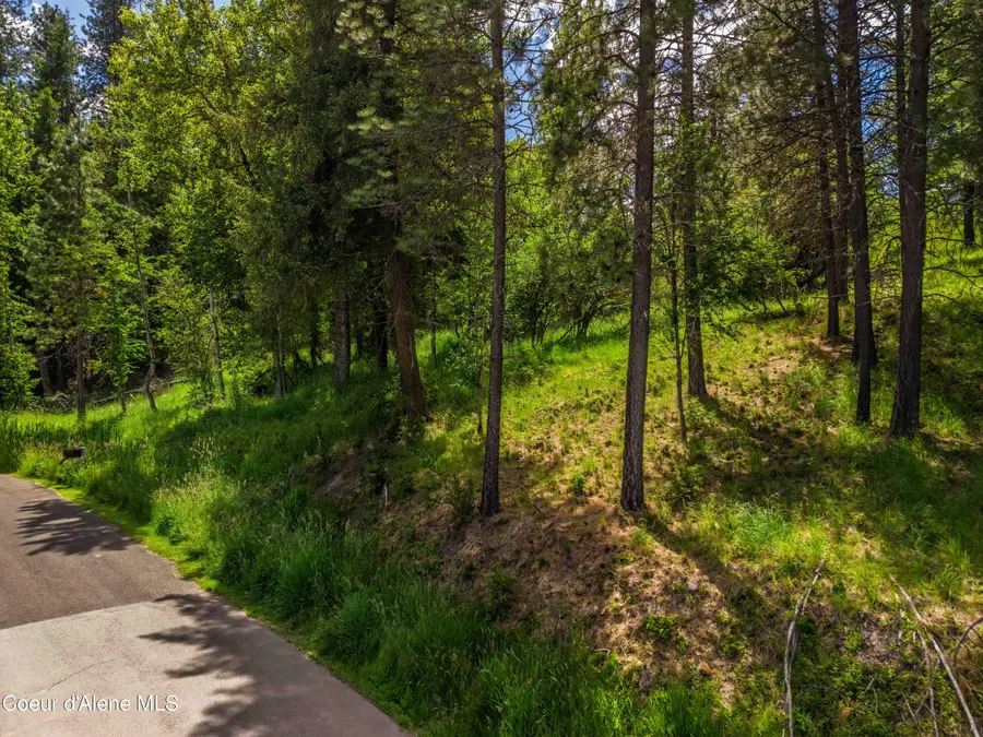 Lot 36, Saint Maries, ID 83861 - #2