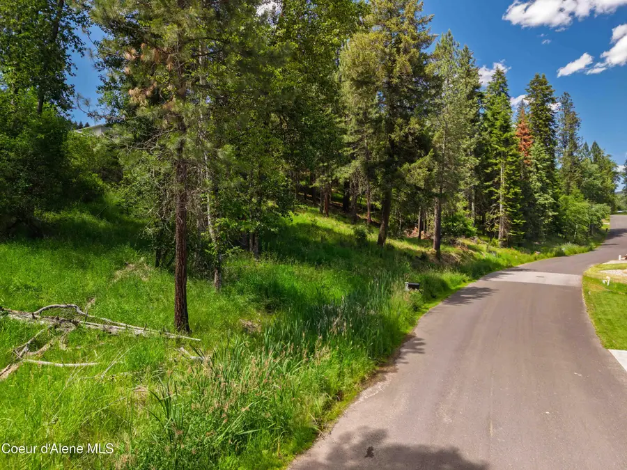 Lot 36, Saint Maries, ID 83861 - #3