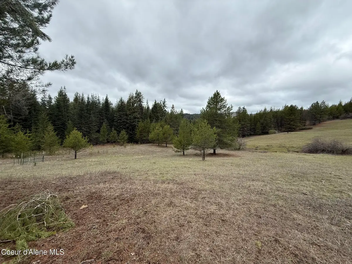 NKA Owl Creek Ln, Saint Maries, ID 83861 - #1
