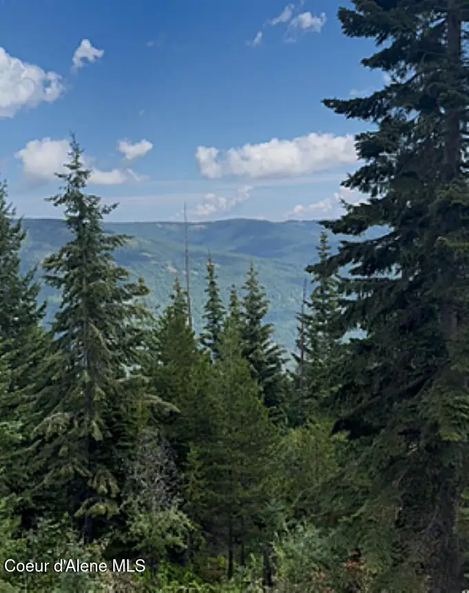 160acs Jeru Creek Rd 293, Sandpoint, ID 83864 - #3