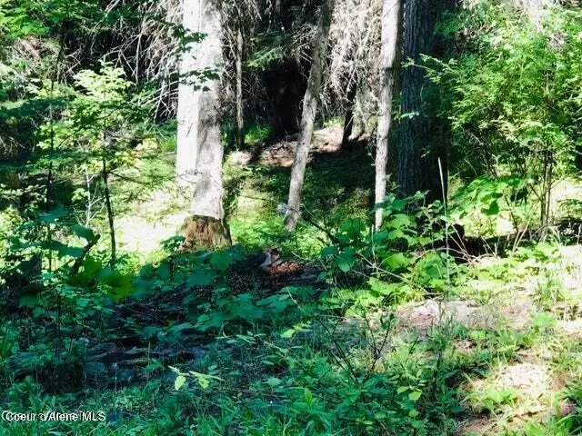 Address Withheld By Seller, Saint Maries, ID 83861 - #1