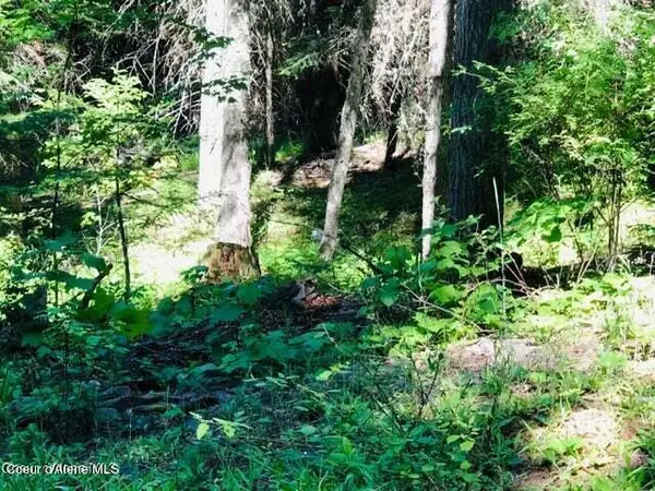 Address Withheld By Seller, St. Maries, ID 83861