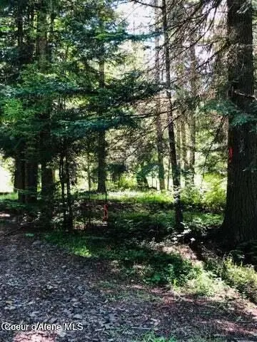 Address Withheld By Seller, Saint Maries, ID 83861 - #2