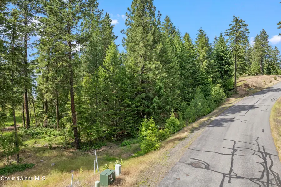 Lot 3 Jackleg Trail, Harrison, ID 83833 - #3