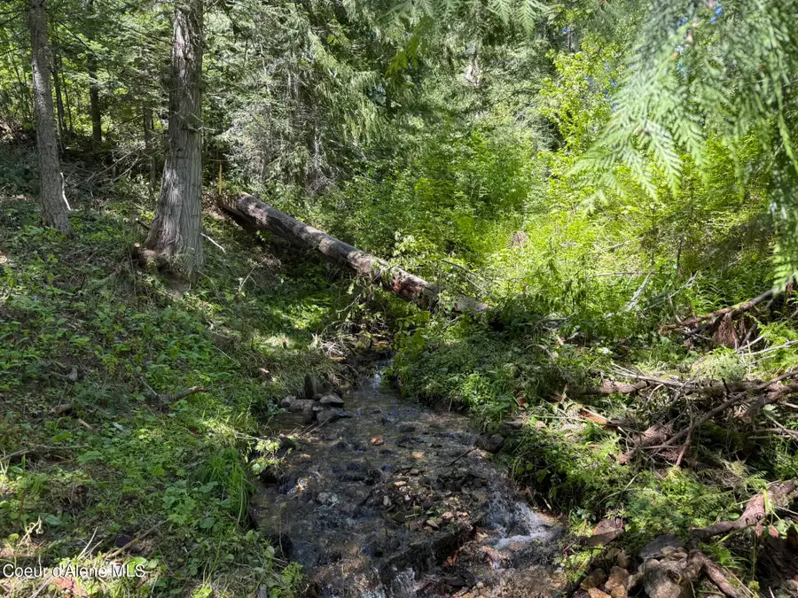 2259 Upriver View DR, Fernwood, ID 83830 - #3