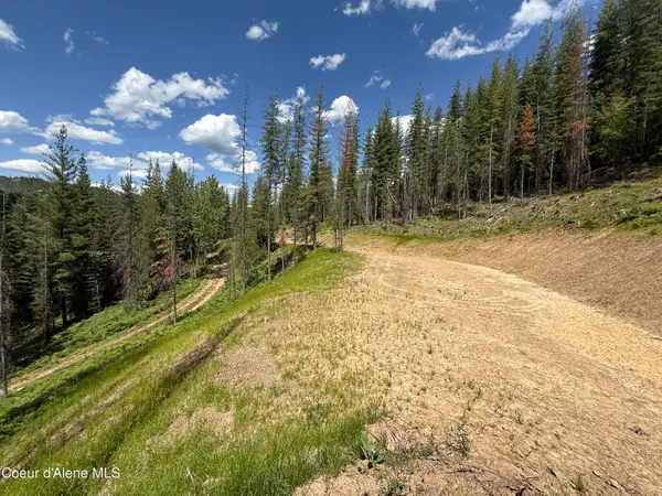 928 Polaris Peak Rd Lot 3, Kellogg, ID 83837