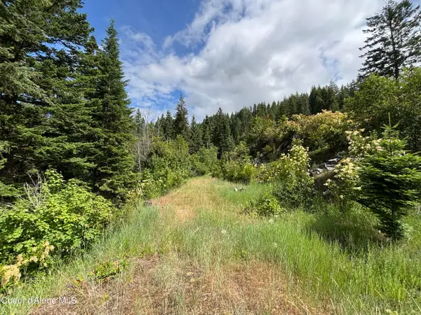 NNA S Idaho Club Drive, Sandpoint, ID 83864