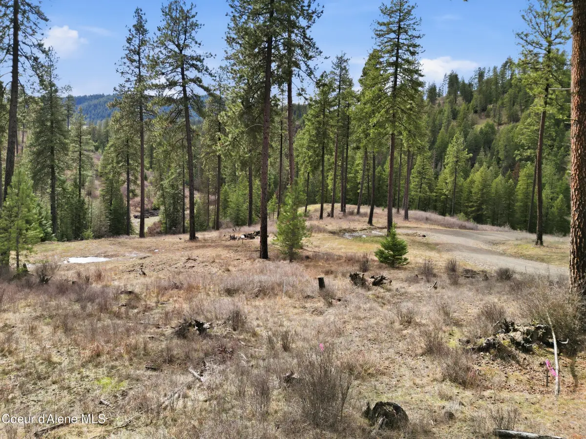 2304 S Blue Creek Rd (Lot 2 & Lot 3), Coeur Dalene, ID 83814 - #1