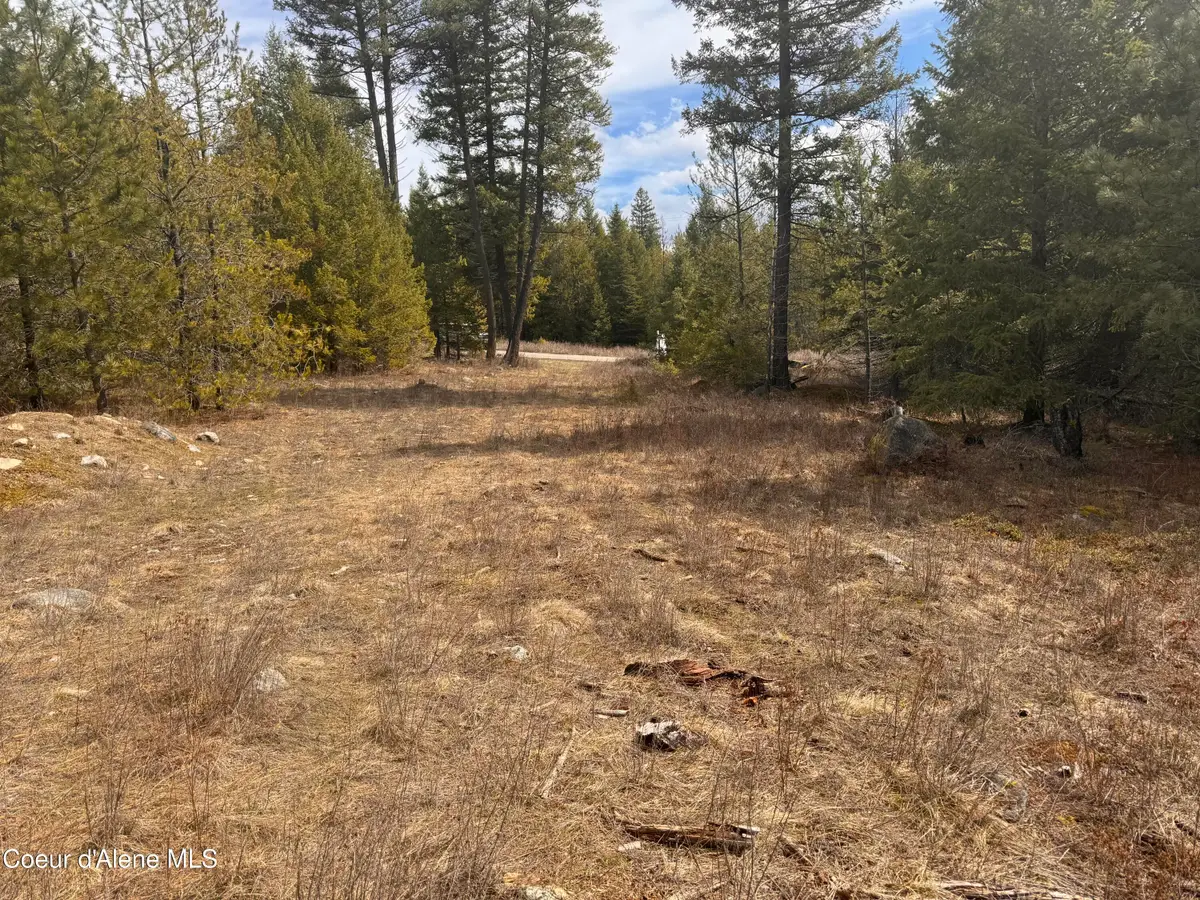 NKA E LOWLAND DR, Athol, ID 83801 - Image #1