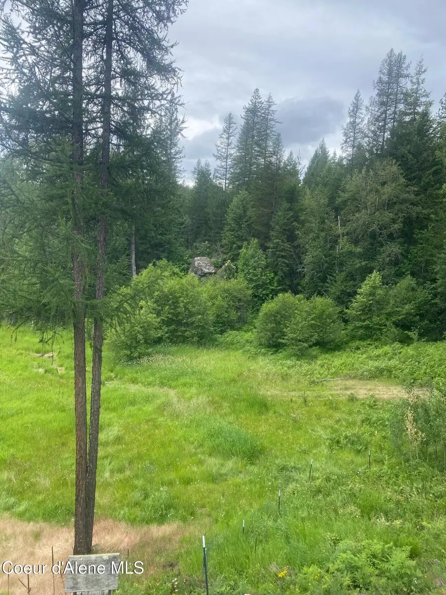 26 Roberts Rdg Rd, Cocolalla, ID 83813 - #3
