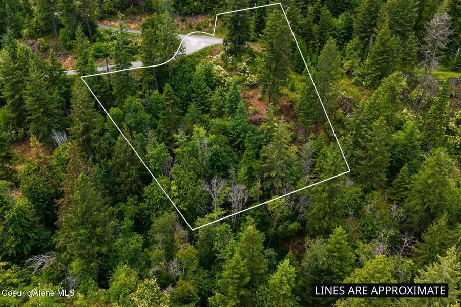 G10 Forest Highland, Sandpoint, ID 83864 - #3
