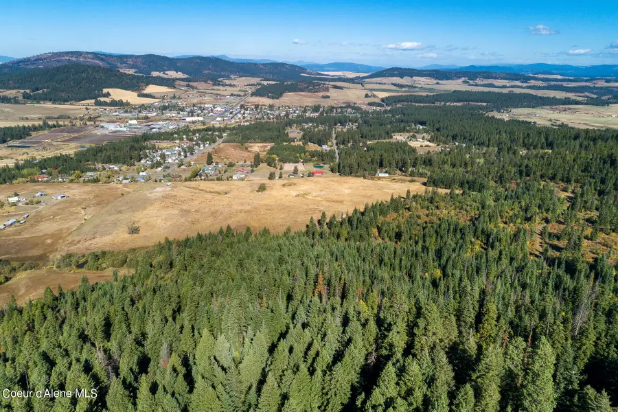 0 Thimbleberry Lane, Plummer, ID 83851 - #2