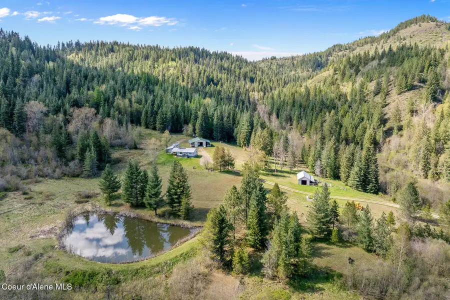 1791 Pup Paw TRL #94.5 Acres, Priest River, ID 83856 - #3