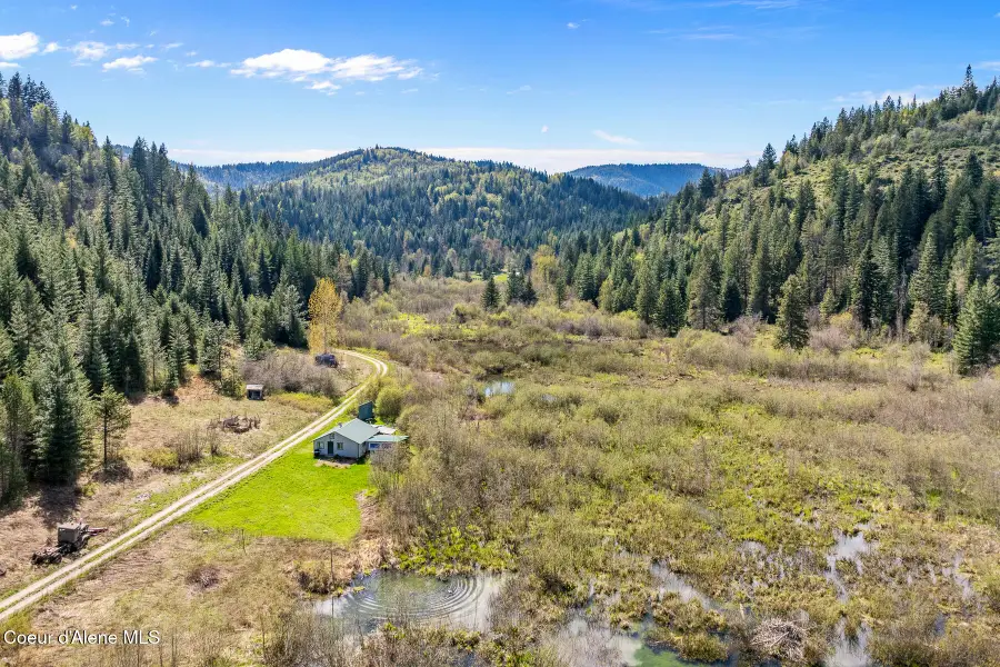 1791 Pup Paw TRL #50 Acres, Priest River, ID 83856 - #2