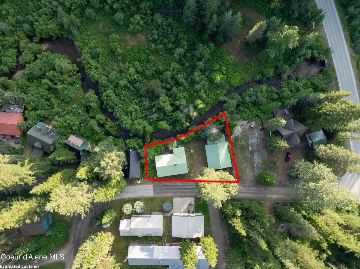 46 Old Schneider RD, Priest Lake, ID 83856 - #1