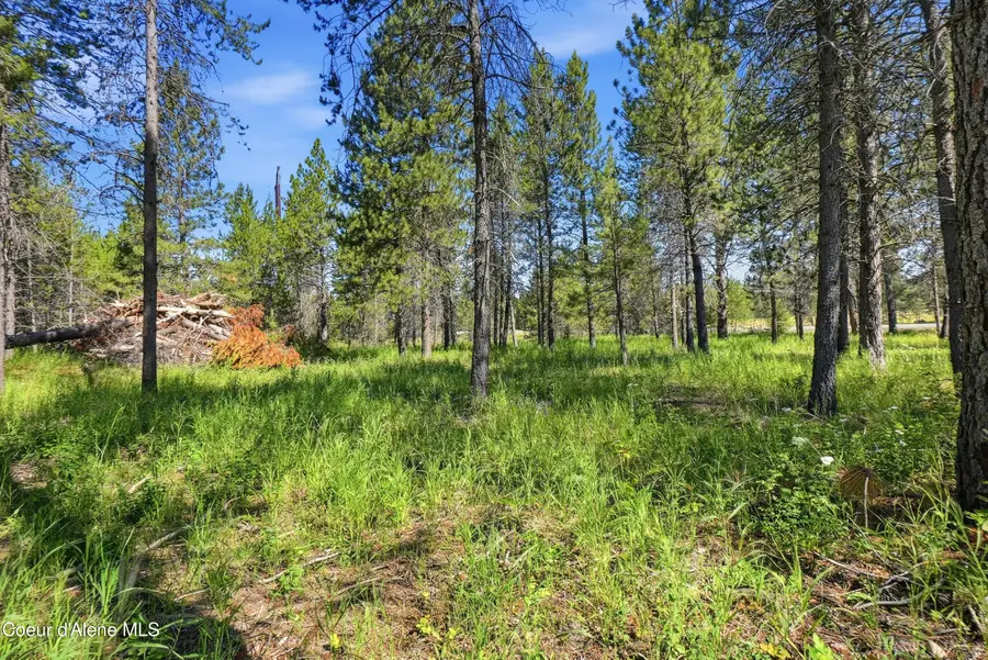 43XX Flatwoods Loop, Rathdrum, ID 83858 - #3