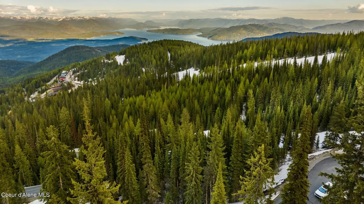 68 Snag Line Lane, Sandpoint, ID 83864 - #1