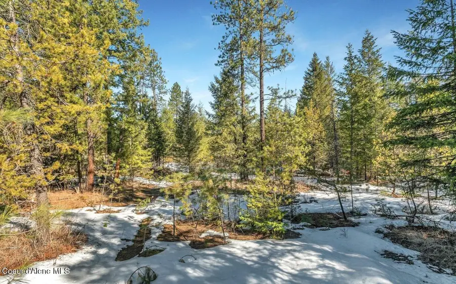 NKA Lot 1 Everett Huff Rd, Oldtown, ID 83822 - #3