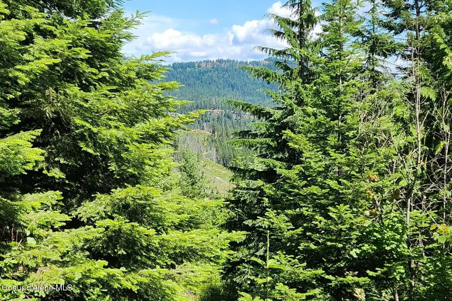 718 Slippery Slope Lot 1, Priest River, ID 83856 - #2