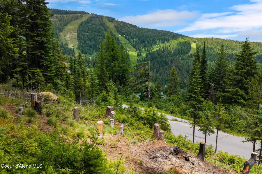 NNA Mogul Hill Blk 1 Lot 10, Sandpoint, ID 83864 - #2