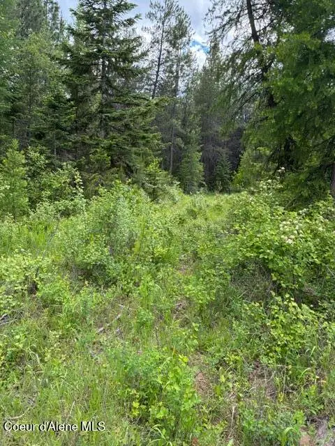 NNA Good Hope Road, Athol, ID 83801 - #3