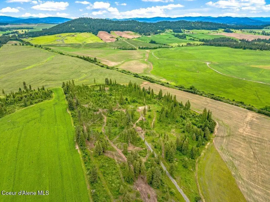 Parcel 1 Freedom Way Rd, Plummer, ID 83851 - #3