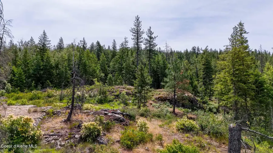 911 Otts Rd, Sagle, ID 83860 - #3