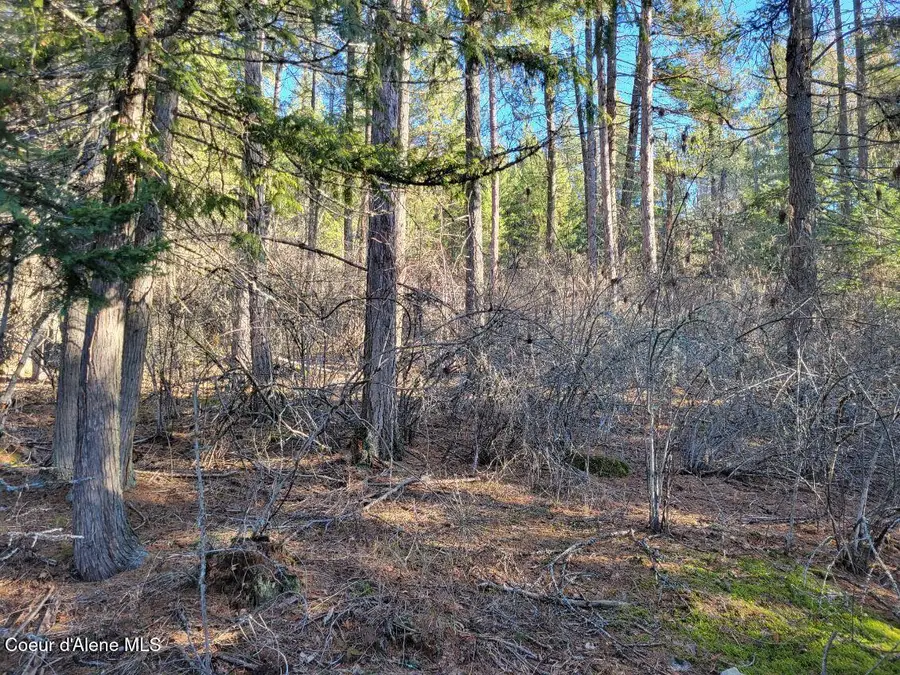 NNA ID-200, Hope, ID 83836 - Image #2