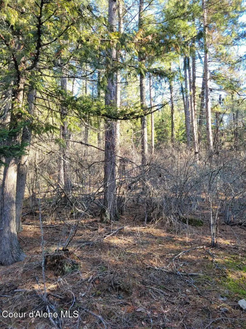 NNA ID-200, Hope, ID 83836 - Image #3