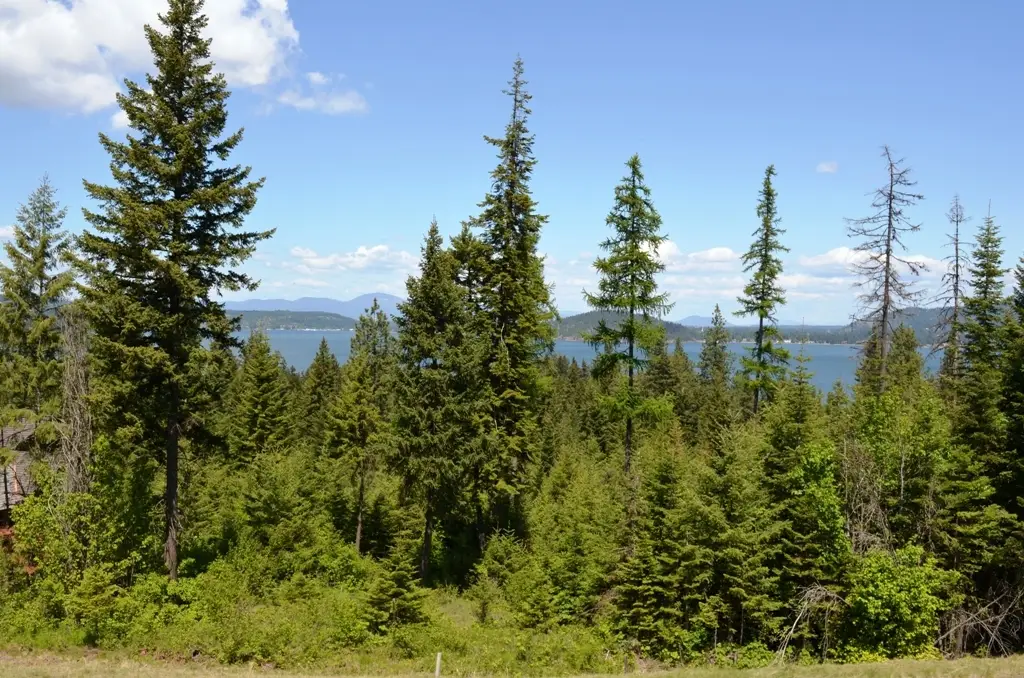 5343 S Jackleg TRL, Harrison, ID 83833 - #1