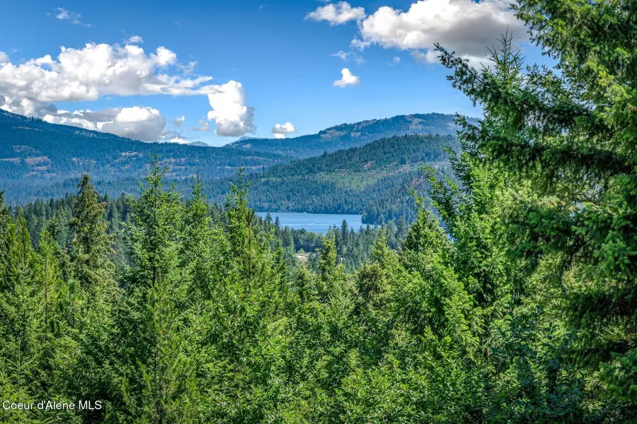 218 Topaz Trail, Sandpoint, ID 83864 - #3