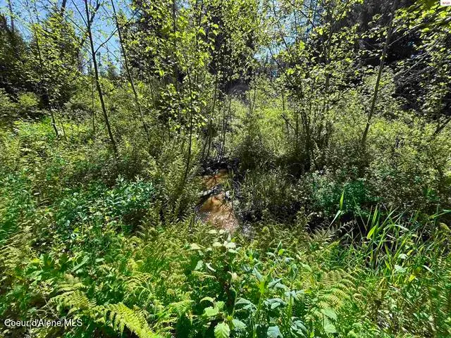 NNA Tanglewood Dr, Priest River, ID 83856 - #2