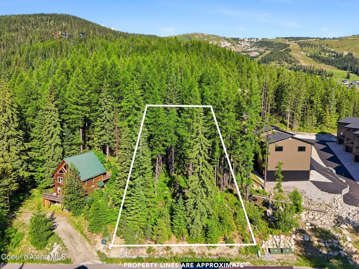 NKA Snowplow RD, Sandpoint, ID 83864 - #1