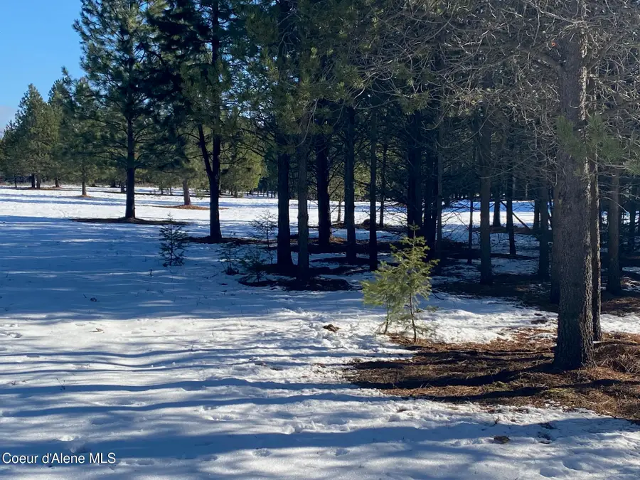 NKA Akin Back Ranch RD, Athol, ID 83801 - Image #3