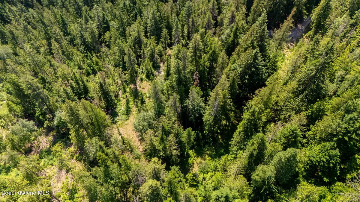466 Rincon DR, Sandpoint, ID 83864 - #1