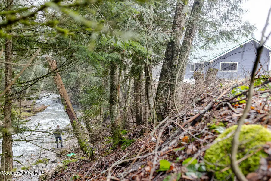 900 Trestle Creek RD, Hope, ID 83836 - #3