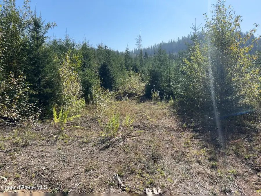 Tract 4 USFS 2294, Clark Fork, ID 83811 - Image #2