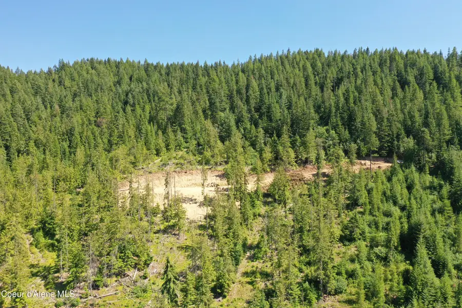 200 Alpine DR, Fernwood, ID 83830 - #3