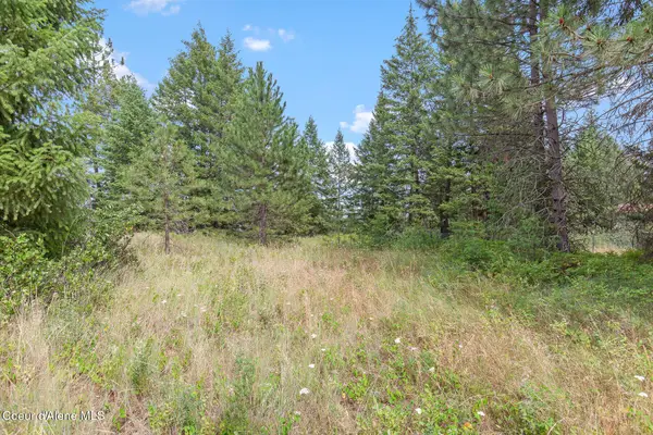 NKA E Forest View Rd, Athol, ID 83801