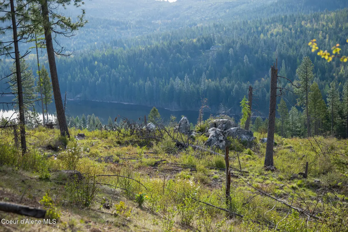 Lot 1 Dollar Creek Dr, Sagle, ID 83860 - #1
