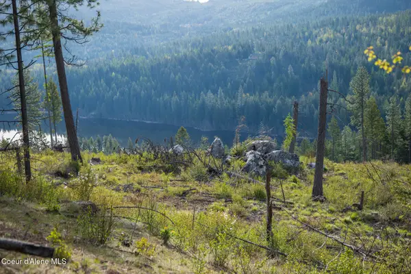 Lot 1 Dollar Creek Dr, Sagle, ID 83860
