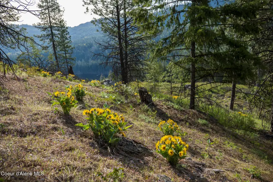 Lot 1 Dollar Creek Dr, Sagle, ID 83860 - #3