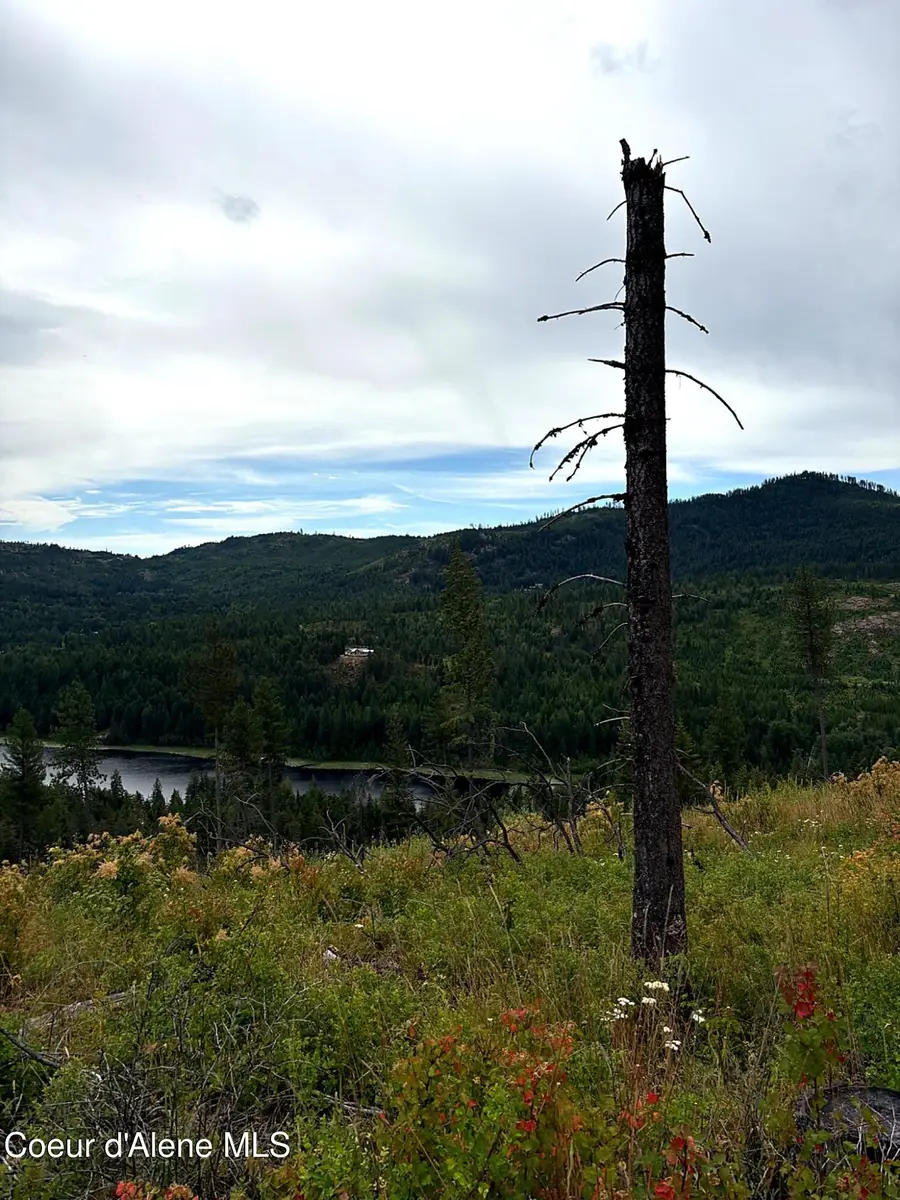 Lot 3 Dollar Creek Dr, Sagle, ID 83860 - #3
