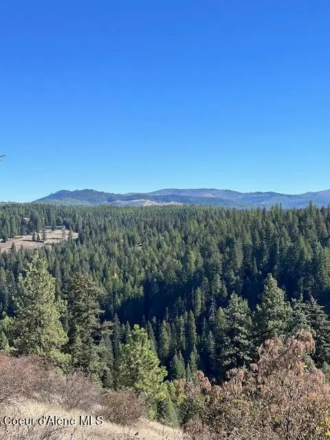 Lot 2 Flat Creek Rd, Saint Maries, ID 83861 - #1