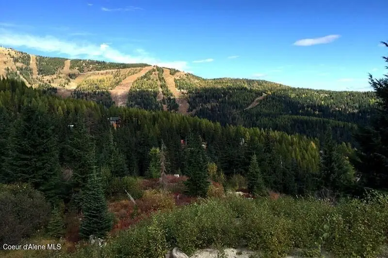 Lot 11A Avalanche Rd, Sandpoint, ID 83864 - #3