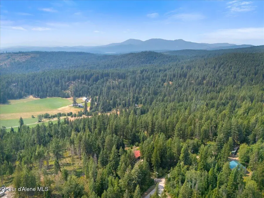 1040 Salee Creek RD, Athol, ID 83801 - #3