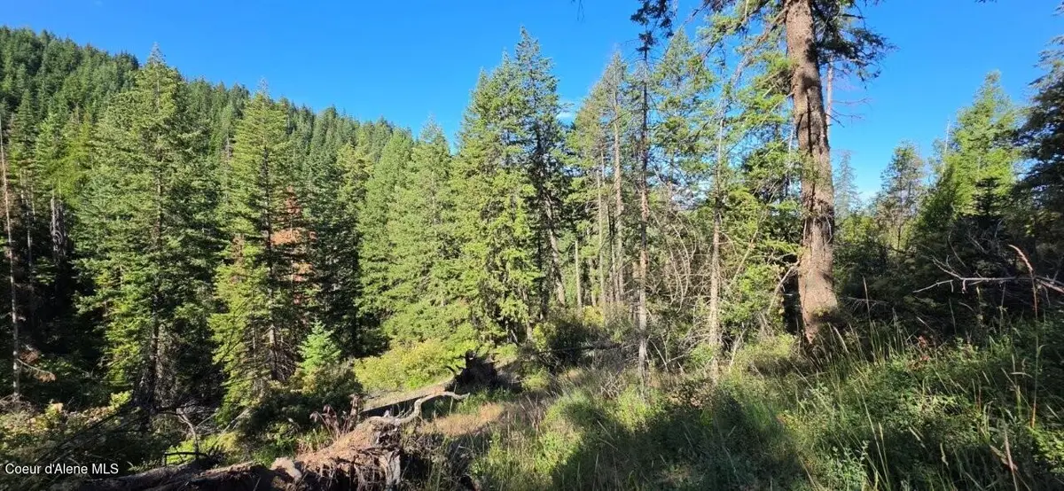N Gages Mountain Rd, Coeur Dalene, ID 83814 - #1