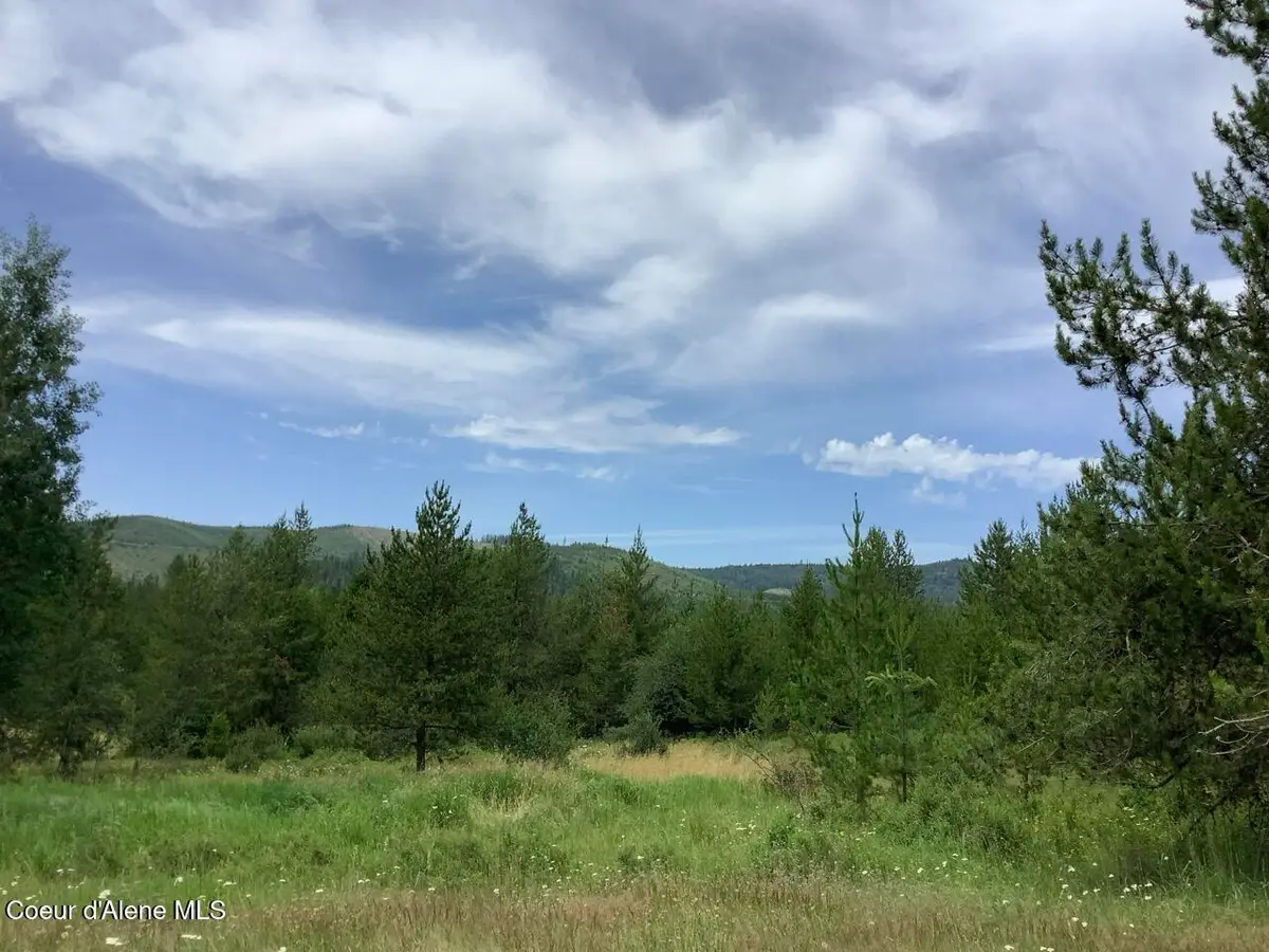 6450 Alder Creek Rd, Saint Maries, ID 83861 - #1